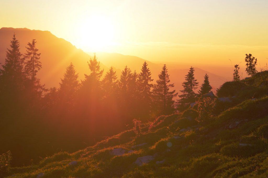 Watching the sunrise