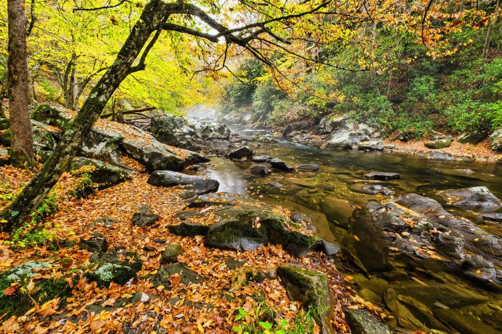 Smoky mountains in the fall